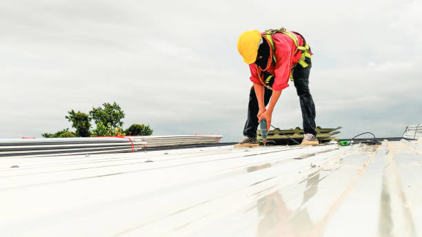 Best Flat Roofing  in Mobridge, SD
